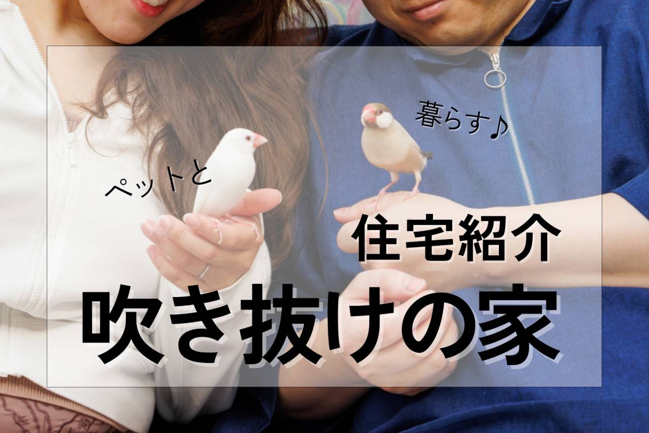 【家を、自分たちらしく✨】施工事例のご紹介