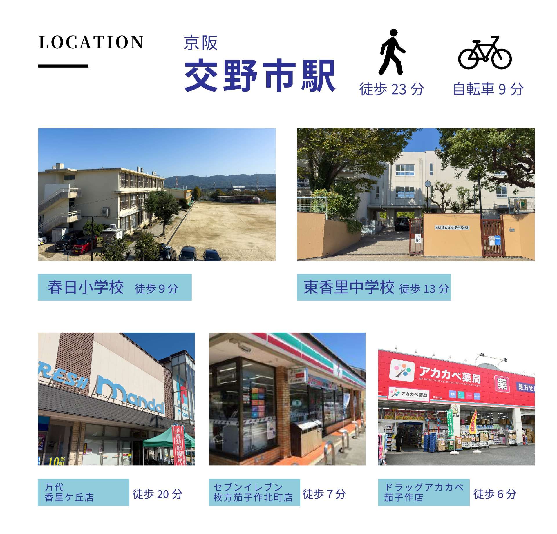 ツバキスタイル茄子作 ”アメリ”