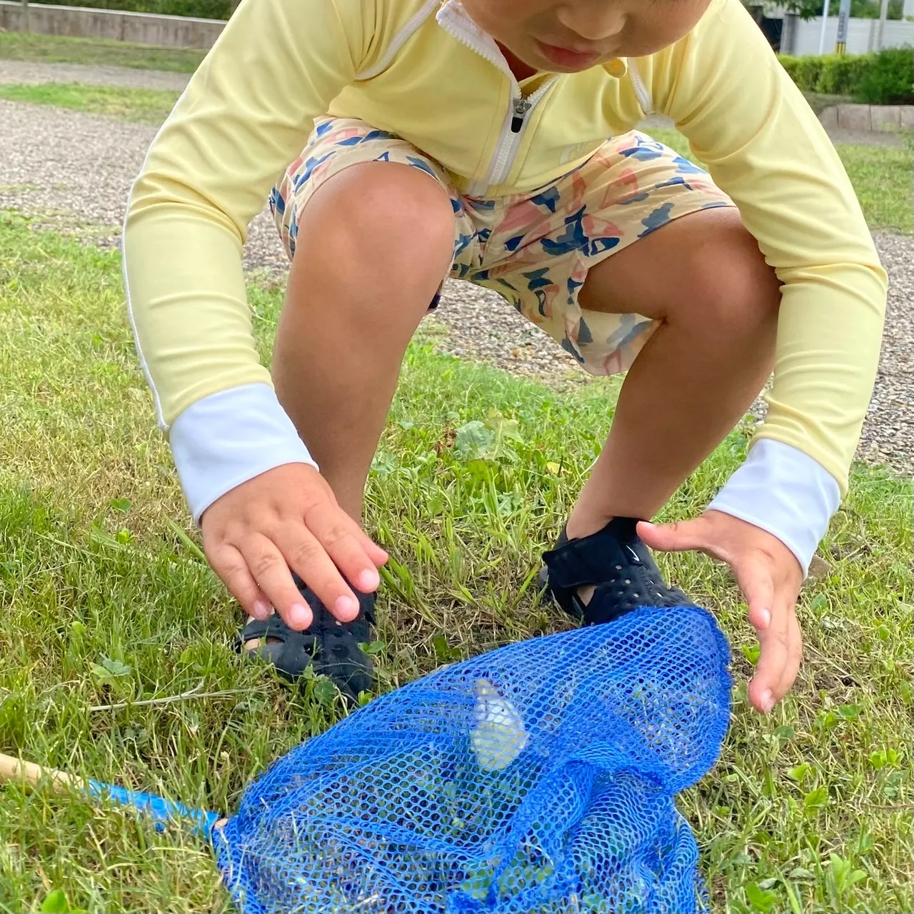 -　枚方で水遊びするならここ　-