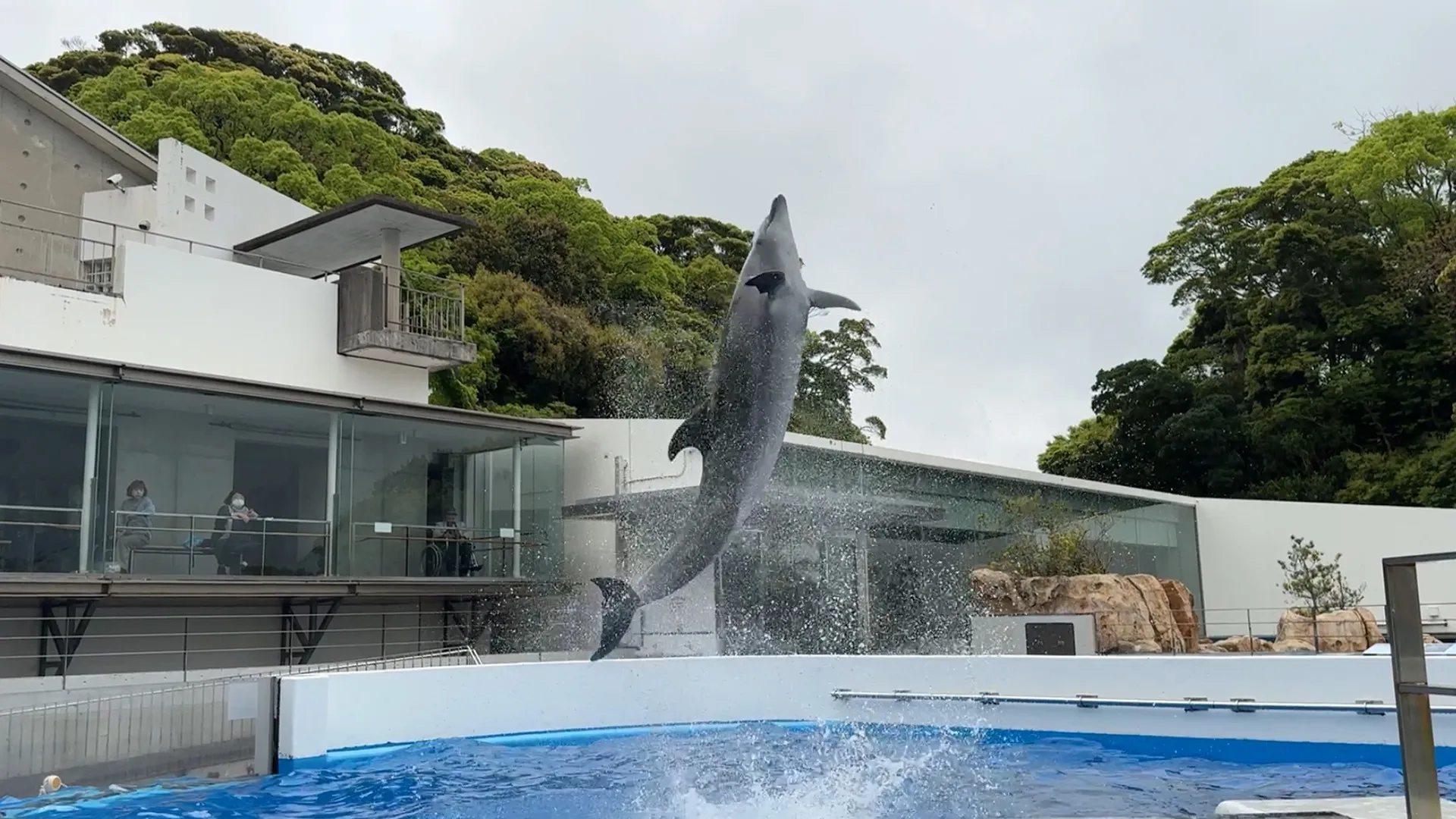 九州旅行記2024②　～海きらら・森きらら編～