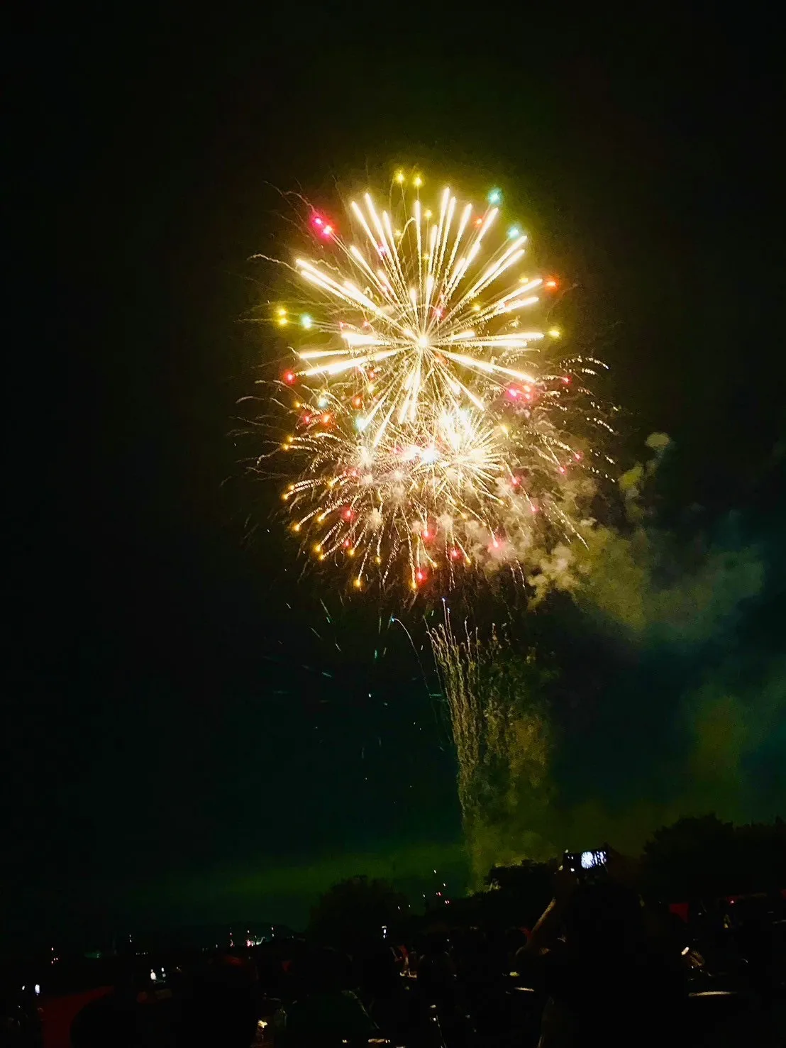 【水都くらわんか花火大会2024】今年も行ってまいりました～！